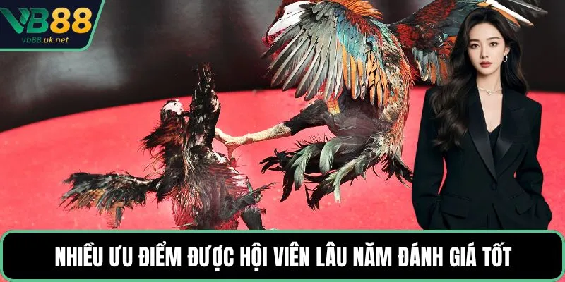 Nhiều ưu điểm được hội viên lâu năm đánh giá tốt